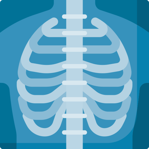 X-ray icon